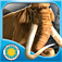 Woolly Mammoth In Tr